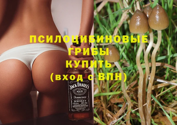 МДПВ Абинск