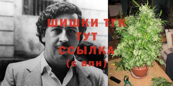 спайс Алексин