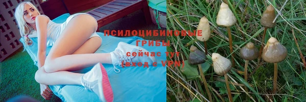 гашик Алексеевка