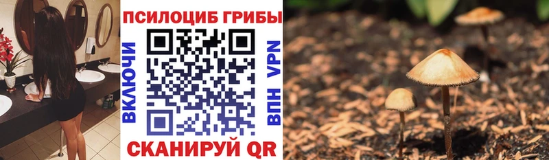 Галлюциногенные грибы MAGIC MUSHROOMS  гидра зеркало  Никольск 